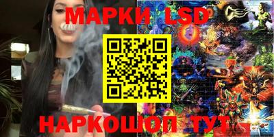 амф Камышлов