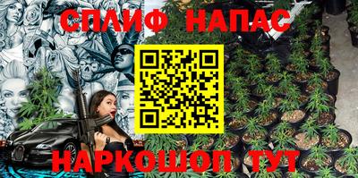 амф Камышлов