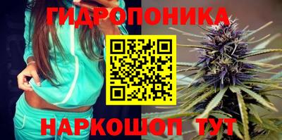 амф Камышлов