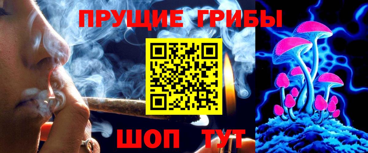 Галлюциногенные грибы Psilocybine cubensis  Вход с VPN  Красный Сулин 